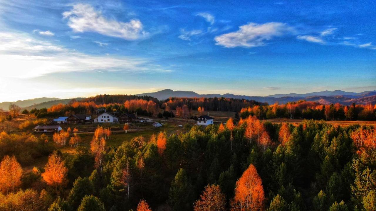 Hotel Pensiunea Lacul Mocearu Budesti  Exterior foto
